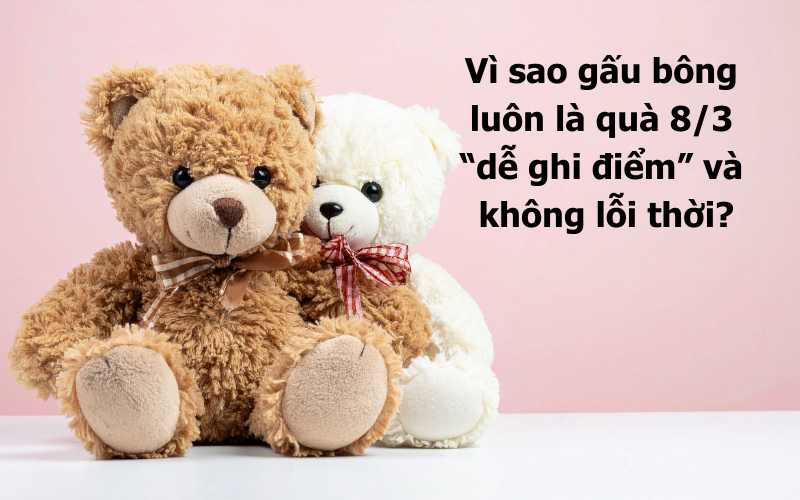 Gấu bông quà tặng