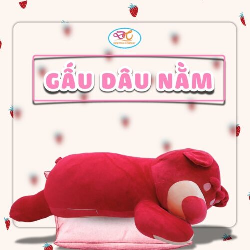 Gấu dâu nằm