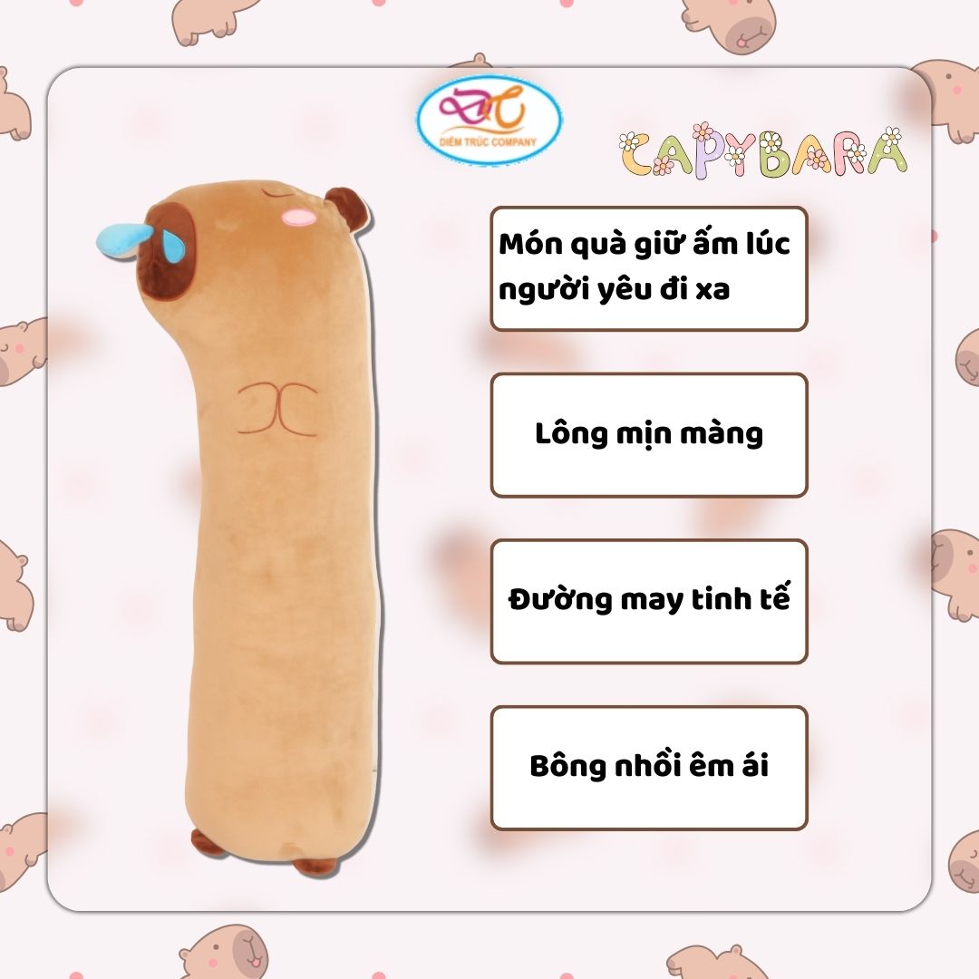 Capybara rút mũi 60cm (2)